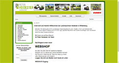Desktop Screenshot of heidester.com